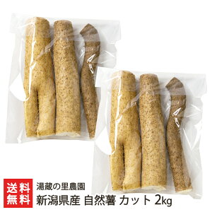 VY R Jbg 2kgi5`8Jbgj ̗_y˂񂶂/R/R̈/R/}mC/Ƃzyz Ε