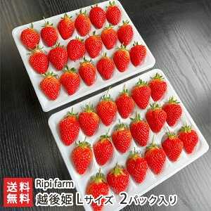 zP LTCYu1pbNvoru2pbNv Ripi farmyϕszyst@[/V/VY/Vuh/Ђ//C`S//嗱/Â/ʕ/t[c/񂹁zyy