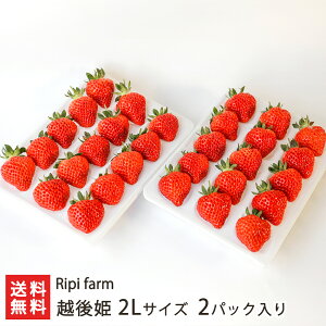 zP 2LTCYu1pbNvoru2pbNv Ripi farmyϕszyst@[/V/VY/Vuh/Ђ//C`S//嗱/Â/ʕ/t[c/񂹁zy