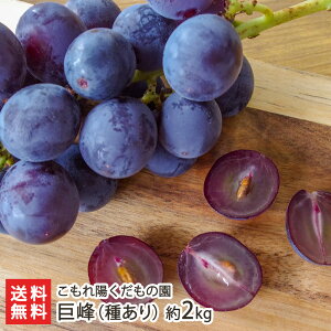 i킠j Iׂ 1kg or 2kg z̉ uhE Ԃǂ  Ē V YҒ  Mtg v[g 蕨 ϕs 
