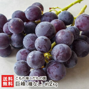iȂj Iׂ 1kg or 2kg z̉ uhE Ԃǂ  Ē V YҒ  Mtg v[g 蕨 ϕs 