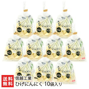 Ђɂɂ MzHƁyϕszyVY/jjN/K[bN/fg/܂/VՂzyyY/yY/v[g/MtgɁI蕨zyz