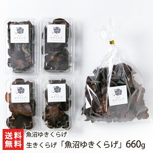 VY 炰u䂫炰v 䂫炰yVY/LNQ/؎/̂/LmR/uߕ/X[vzyz