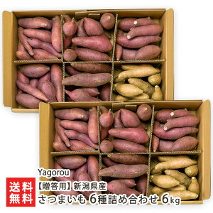 ypz VY ܂ 6lߍ킹 Iׂ 3kg or 6kg i̎w͂󂯂ł܂ Yagoro Ă Ĉ َq ܈ Tc}C F Ύs V YҒ 