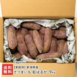 yƒpzVY ܂ g͂邩 Iׂ 4.5kg or 9kg Yagoro Ă Ĉ َq ܈ Tc}C F Ύs V YҒ  
