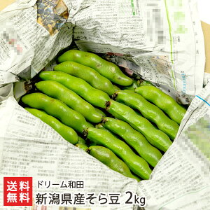 �V�����Y ���瓤 1kg �i25�`30䰁j or 2kg �i50�`60䰁j �h���[���a�c ����܂� �� �\�� ���܂� ���Ă̖��o ���̂� �V���s�]��� �L�@���엿 �V���� ���Y�Ғ��� ������ �M�t�g �v���[���g 