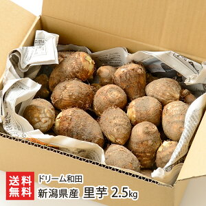 VY  2.5kg h[ac Ƃ TgC ƈ  yt a Vs] L@엿 V YҒ  Mtg v[g 蕨  Ε