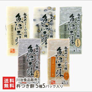 n 55pbNi݁EEEE茺 e1pbNj 쎡Hi̔ Vv   ` n  VY ˂  ̂ V YҒ 