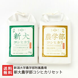 令和6年度産米 新大農学部コシヒカリセット（新大コシヒカリ・農学部コシヒカリ 各2kg） 新潟大学農学部附属農場 新潟県産 産地直送 お米 こしひかり ライス 白米 新潟大学 しんだい お歳暮