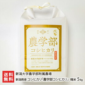 【令和7年度米】 新潟県産 コシヒカリ「農学部コシヒカリ」精米5kg（5kg×1袋） 新潟大学農学部附属農 お米 こしひかり ライス 白米 新潟大学 しんだい 農学部 新潟県 生産者直送 お取り寄せ ギフト プレゼント 贈り物 送料無料