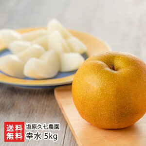 �V�����Y �� �K�� 2kg �` 5kg �����v���_�� �V�����Y �Y�n���� �a�� �Ȃ� �i�V �������� �R�E�X�C ����������ϕs�� ��������
