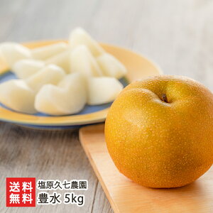 �V�����Y �� �L�� 2kg �` 5kg �����v���_�� �V�����Y �Y�n���� �a�� �Ȃ� �i�V �ق����� �z�E�X�C ����������ϕs�� ��������