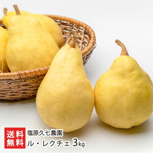 EN`F 1kg ` 4kg v_ VY N`F mȂ miV m VY YҒ  Mtg v[g 蕨 ϕs 