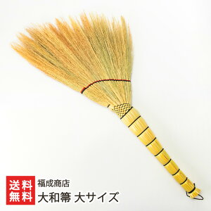 aⴁiقjIׂ TCY or TCY X zEL  ق | d zELRV  t[O  V YҒ  Mtg v[g 蕨