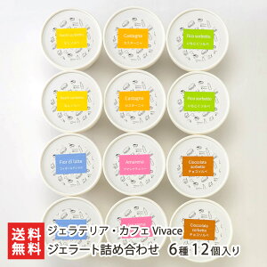 WF[glߍ킹 Iׂ 36 ` 612 WFeAEJtF Vivace X fU[g ACX XC[c َq V YҒ  Mtg v[g 蕨 