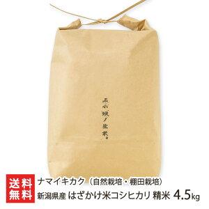 yߘa7NxVāzVY ͂ăRVqJiR͔|EIc͔|j  4.5kg i}CLJN  邿 Ђ V YҒ  Mtg v[g 蕨 