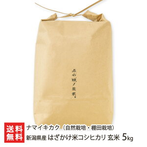 yߘa7NxVāzVY ͂ăRVqJiR͔|EIc͔|j  5kg i}CLJN 邿 Ђ V YҒ  Mtg v[g 蕨 