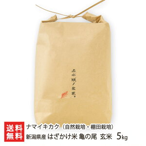 【令和7年度新米】新潟県産 はざかけ米 亀の尾(自然栽培・棚田栽培) 玄米 5kg ナマイキカク うるち米 新潟県 生産者直送 お取り寄せ ギフト プレゼント 贈り物 代金引換決済不可 送料無料