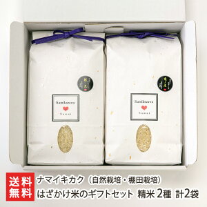 yߘa7NxVāz͂ẴMtgZbgiR͔|EIc͔|j  2 v2܁iRVqJET̔ e1.35kg 1܁j i}CLJN  邿 󏭕i lߍ킹 V YҒ