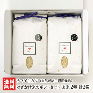 【令和7年度新米】はざかけ米のギフトセット(自然栽培・棚田栽培) 玄米 2種 計2袋(コシヒカリ・亀の尾 各1.5kg 1袋) ナマイキカク 白米 うるち米 希少品種 詰め合わせ 新潟県 生産者直送