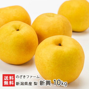 VY  V 3kg `10kg ̂t@[ Vv a Ȃ iV V YҒ  Mtg v[g 蕨