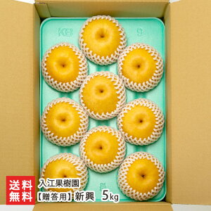 ypzV Iׂ 3kg or 5kg ]ʎ  iV Ȃ a ԗ V YҒ  Mtg v[g 蕨 ϕs 