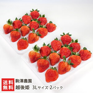 zP 3LTCY Iׂ 1pbN or 2pbN V_ V uh Ђ  C`S  嗱 Â ʕ t[c  V YҒ  Mtg v[g 