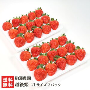 zP 2LTCY Iׂ 1pbN or 2pbN V_ V uh Ђ  C`S  嗱 Â ʕ t[c  V YҒ  Mtg v[g 