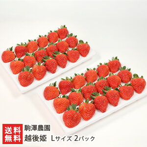 zP LTCY Iׂ 1pbN or 2pbN V_ V uh Ђ  C`S  嗱 Â ʕ t[c  V YҒ  Mtg v[g 