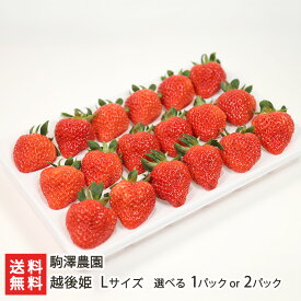 越後姫 Lサイズ 選べる 1パック or 2パック 駒澤農園 新潟 ブランド苺 えちごひめ 苺 イチゴ いちご 大粒 甘い 果物 フルーツ お取り寄せ 新潟県 生産者直送 お取り寄せ ギフト プレゼント 贈り物 代金引換決済不可 送料無料