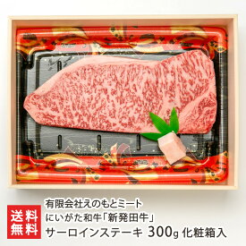 にいがた和牛「新発田牛」サーロインステーキ 300g （300g×1枚） 化粧箱入 有限会社えのもとミート ステーキ にいがた和牛 黒毛和牛 ブランド牛 しばたうし 国産 和牛 肉質4等級以上 新潟県 生産者直送 お取り寄せ ギフト プレゼント 贈り物 代金引換決済不可 送料無料