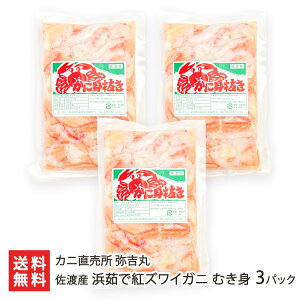 nY l䥂ōgYCKj ނg Iׂ 1pbN ` 5pbN Jj g {C I Jj gYCI Ⓚ V YҒ  Mtg v[g 蕨 ϕs