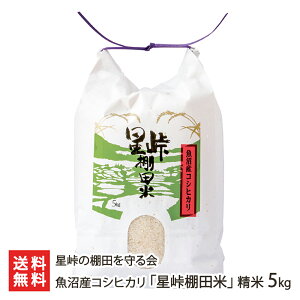 yߘa7NxVāzYRVqJuIcāv 5kg ̒Ic VY  R CX قƂ Ȃ܂ zVgEQ ^i_}C Ђ VY YҒ 