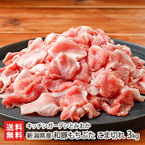 VY a؂Ԃ ܐ؂ 3kg Lb`K[fƂ݂ VY ƂԂ g`u^ R} ɂ jN V YҒ  Mtg v[g 蕨 