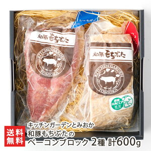 a؂Ԃ̃x[RubN 2 v600giox[REV_[x[R e1pbNj Lb`K[fƂ݂ VY ׁ[ ƂԂ g`u^ V YҒ