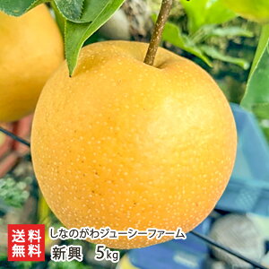 V Iׂ 3kgi5`11ʁj ` 5kgi7`16ʁj Ȃ̂W[V[t@[  iV Ȃ a V YҒ  Mtg v[g 蕨 ϕs 