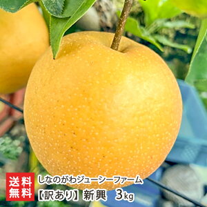 y󂠂zV 3kgi5`11ʁj Ȃ̂W[V[t@[  iV Ȃ a V YҒ  ϕs 