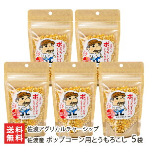 nY |bvR[pƂ낱 Iׂ 3 ` 5 nAOJ`[Vbv gERV Ƃ낱 |bvR[p V YҒ  Mtg v[g 蕨 