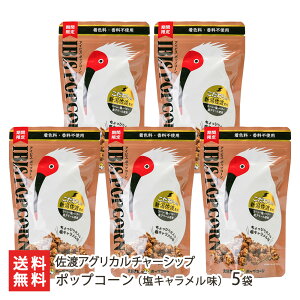 |bvR[iLj Iׂ 2 ` 5 nAOJ`[Vbv َq XC[c XibN L L V YҒ  Mtg v[g 