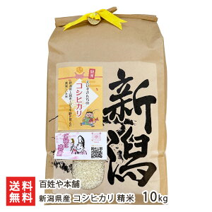 yߘa7NxVāzVY RVqJ  5kg 10kg S{ Ђ R ͂ CX V YҒ  Mtg v[g 蕨 