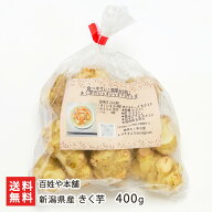 新潟県産きく芋 400g 百姓や本舗 キクイモ きくいも 野菜 いも 新潟県 生産者直送 お取り寄せ ギフト プ…