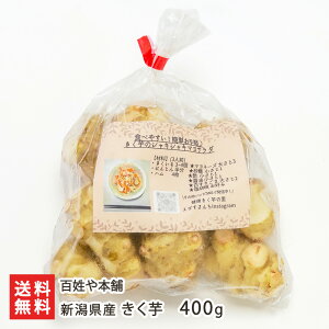 VY 400g S{ LNC    V YҒ  Mtg v[g 蕨  Ε