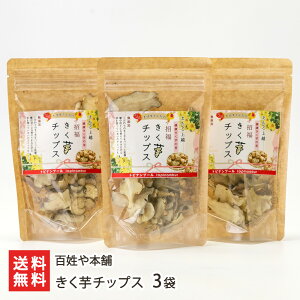 `bvX 3܁i1܂20gjS{ LNC   V YҒ  Mtg v[g 蕨  Ε