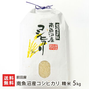 yߘa7NxVāz싛YRVqJ  Iׂ 2kg 5kg 10kg Oc VY   R z Ђ ʂ V YҒ  Mtg v[g 蕨 