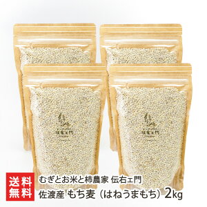 nY i͂˂܂jIׂ 1kgi500g×2pbNj` 2kgi500g×4pbNjނƂĂƊ`_ `EF ނ G ͂˂܂ 唞 V YҒ  Mtg v[