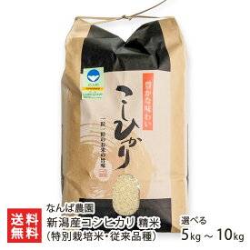 【令和7年度新米】特別栽培米（減農薬・減化学肥料）新潟産コシヒカリ（従来品種）精米 選べる 5kg 10kg なんば農園 米 こめ コメ 越光 こしひかり 新潟県 生産者直送 お取り寄せ ギフト プレゼント 贈り物 送料無料