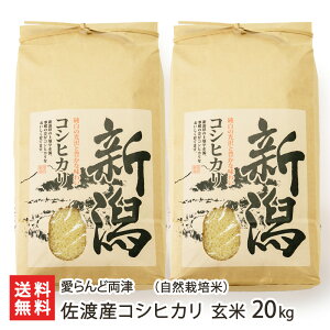 yߘa7NxVāznYRVqJiR͔|āj Iׂ 5kg 10kg 20kg Ǘ VY   R z Ђ  V YҒ  Mtg v[g 