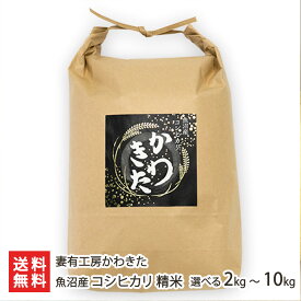 【令和7年度米】魚沼産コシヒカリ 精米 2kg 5kg 10kg 妻有工房かわきた こしひかり 米 コメ ごはん ライス 新潟産 新潟県産 生産者直送 お取り寄せ ギフト プレゼント 贈り物 代金引換決済不可 送料無料