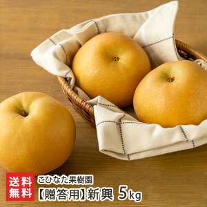 ypzV 5kg i6`12ʁj ЂȂʎ a Ȃ iV 񂱂 VRE VY YҒ  Mtg v[g 蕨 ϕs  Ε