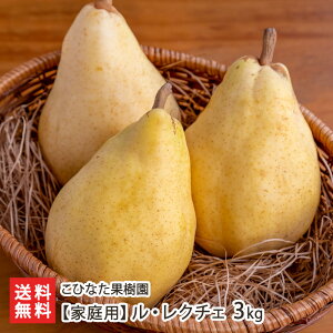 yƒpzEN`F Iׂ 2kgi4`6ʁj ` 3kgi6`9ʁj ЂȂʎ miV m N`F Ȃ iV Yi 󏭕i VY YҒ  Mtg v[g 蕨